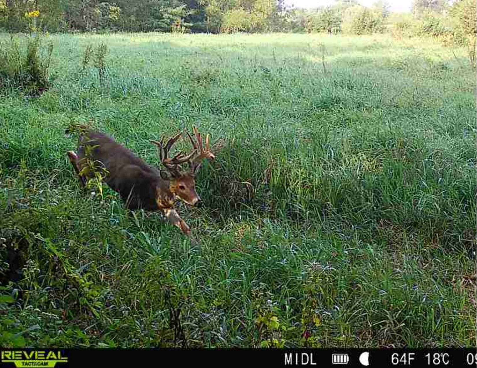 Listing Photo: Wayne County, Iowa Land Listing - 1